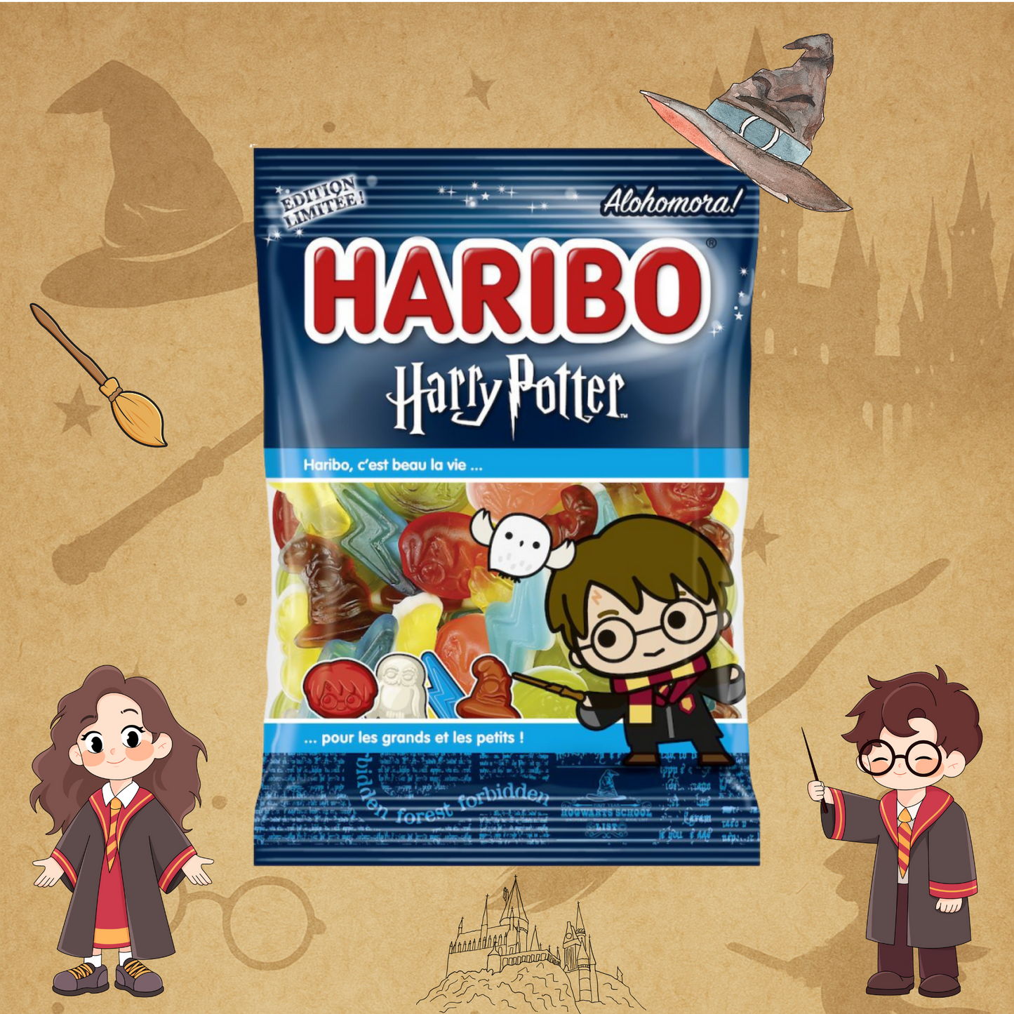 Sachet Harry Potter